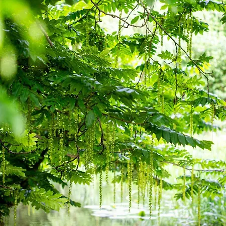 Wohnen Im Carl Maria Von Weber Geburtshaus *
